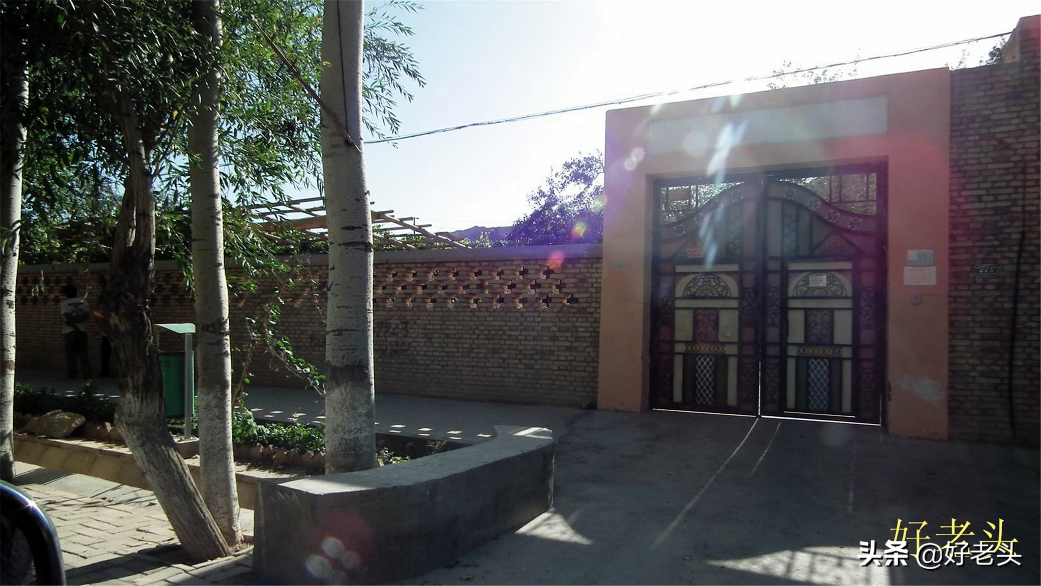 库尔勒轮台胡杨林风景区,胡杨林景区轮台