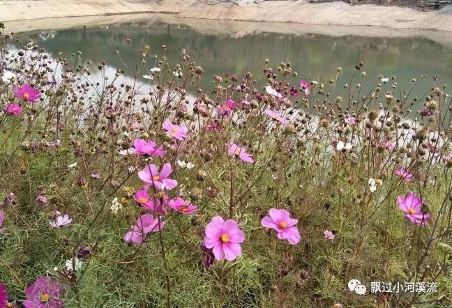 孤独前行（舞文弄墨，自得其乐）