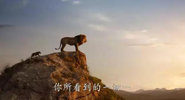 看完动画片狮子王电影观后感,观看狮子王简单的观后感
