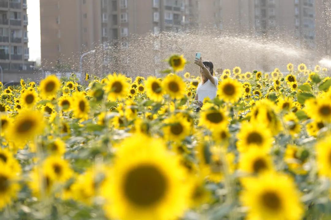 五一假期超4200万人次游四川,北碚国庆节旅游收入