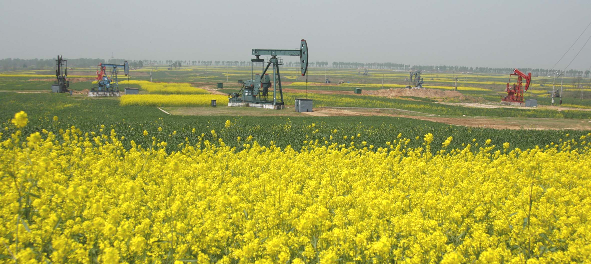 山村女教师电视剧歌曲,山村女教师事件