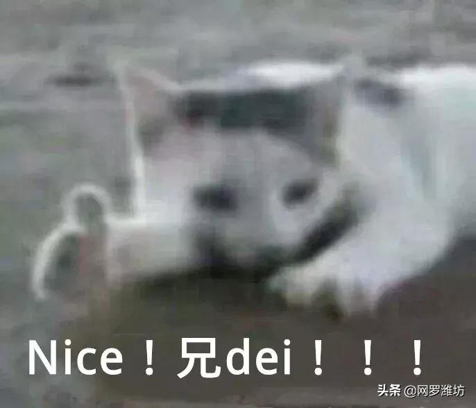 世界500强潍坊,潍坊入选高中500强