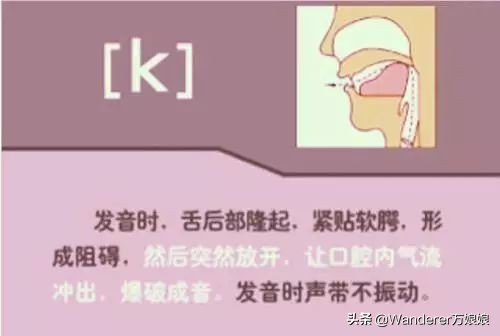 英语48个音标发音附详细图解,音标发音48个正确发音讲解视频