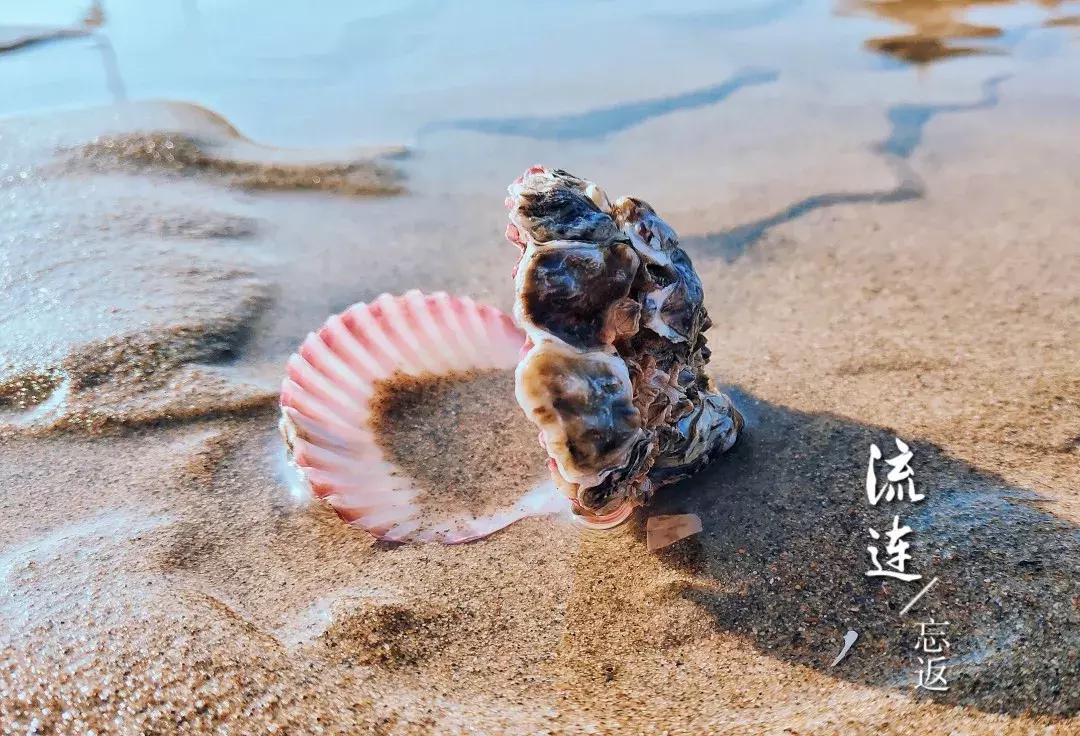 沙雕海洋乐园和渔岛哪个更值得去,沙雕海洋乐园视频