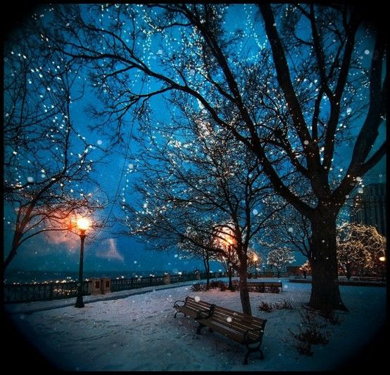 【西师夜读（音频）】《雪夜林边驻马》（总第31期）