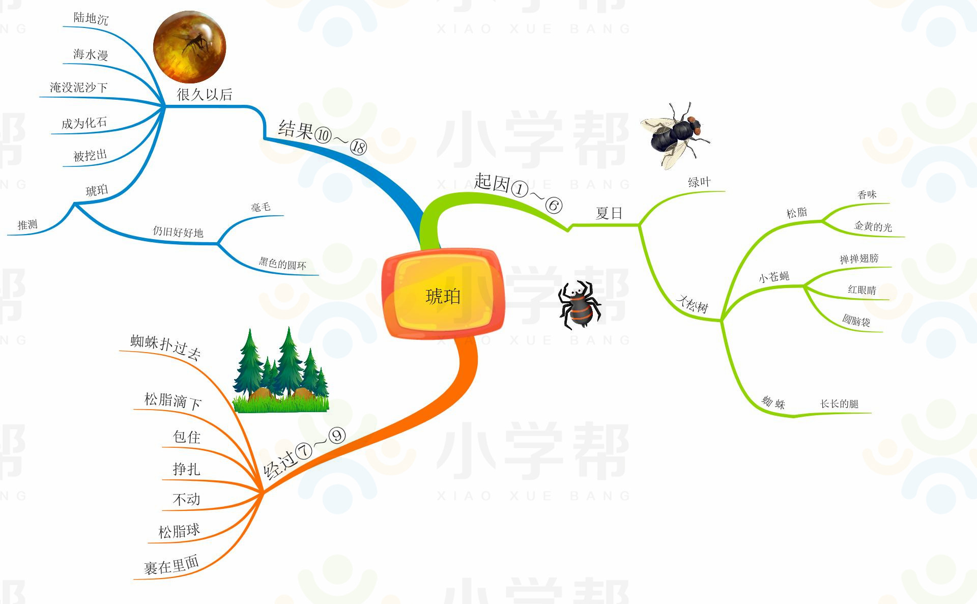 新部编版小学六年级语文思维导图,部编版1-6年级语文上册思维导图