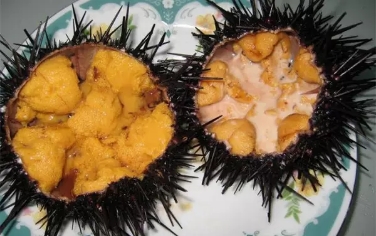 刺锅子、虾爬子、海蛎子，助力大连海味“出道”吧