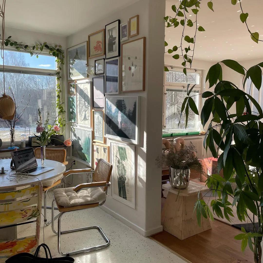 鍘昏В蹇ф潅璐у簵,鍘昏В蹇ф潅璐у簵瑙ｅ咖