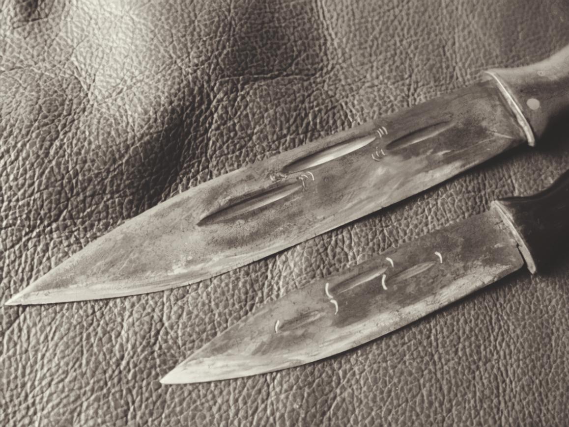 妻女被杀兔子牵出了真相,妻女被杀兔子成破案关键