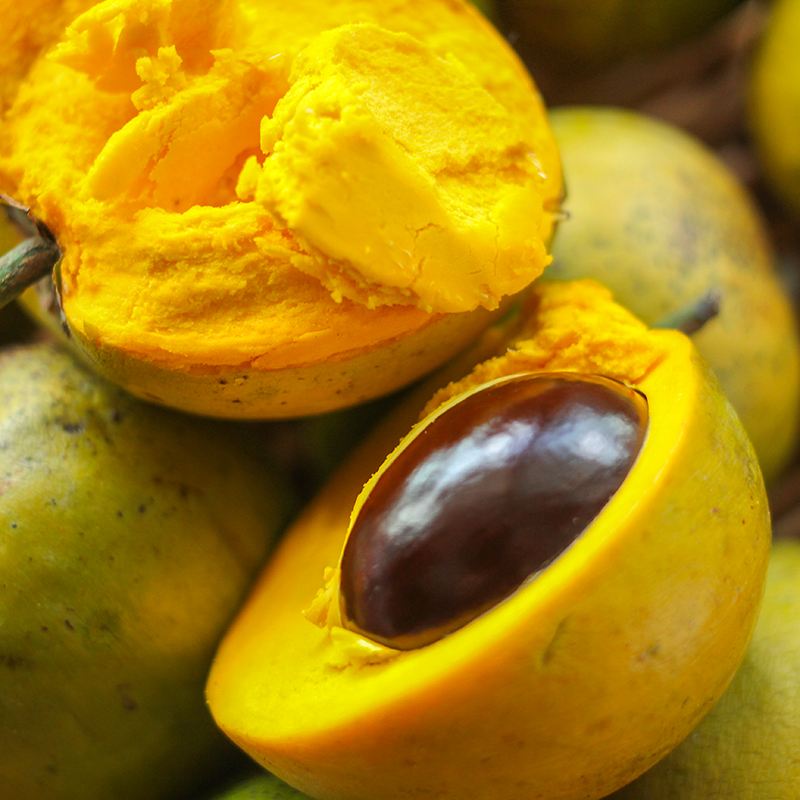 各种没见过的热带水果,常见的热带水果有哪些