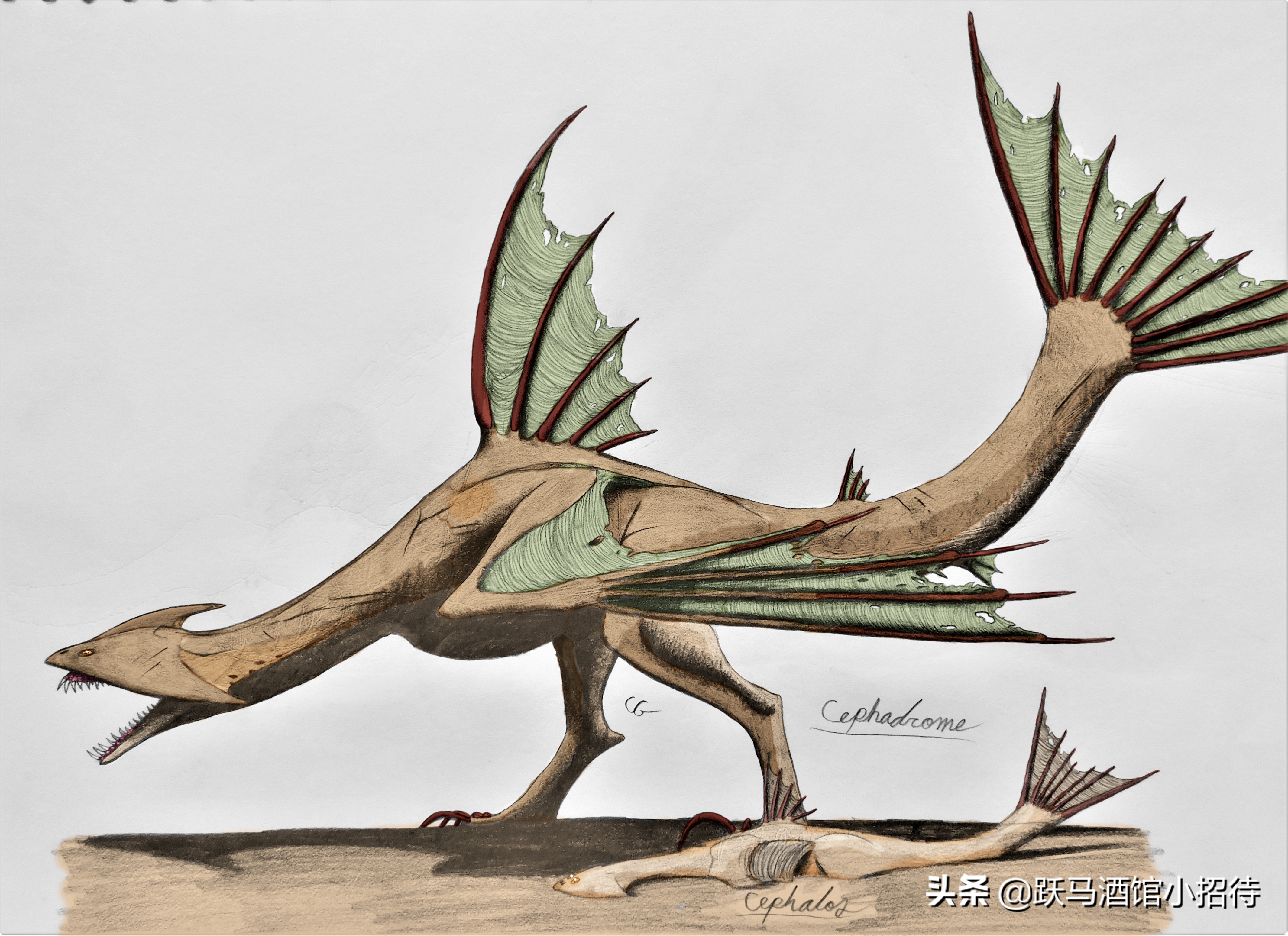 盘点《怪物猎人》中的经典怪物,怪物猎人电影最后一只怪