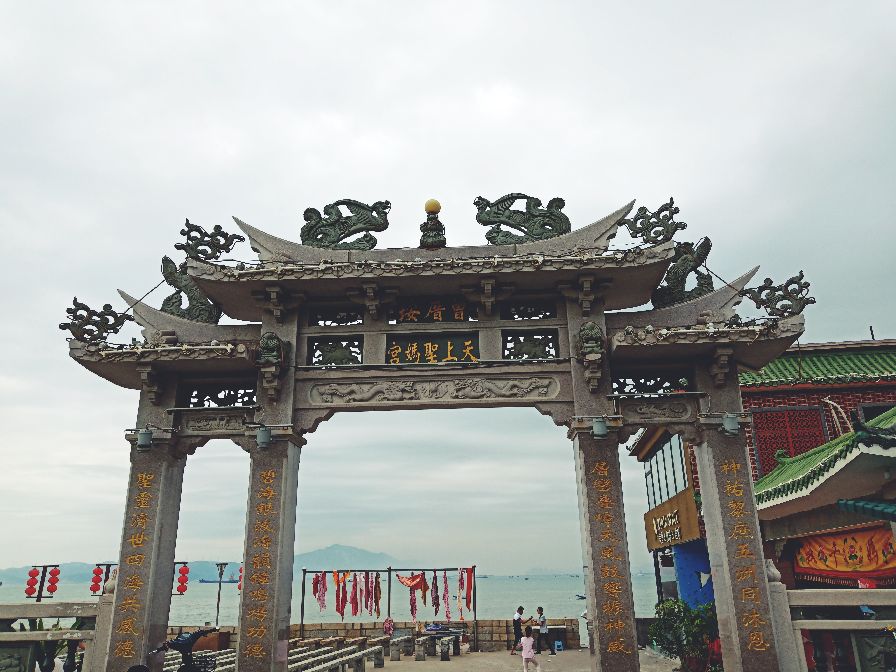 我的旅行日记夏日里的厦门,我的旅行日记厦门园林植物园