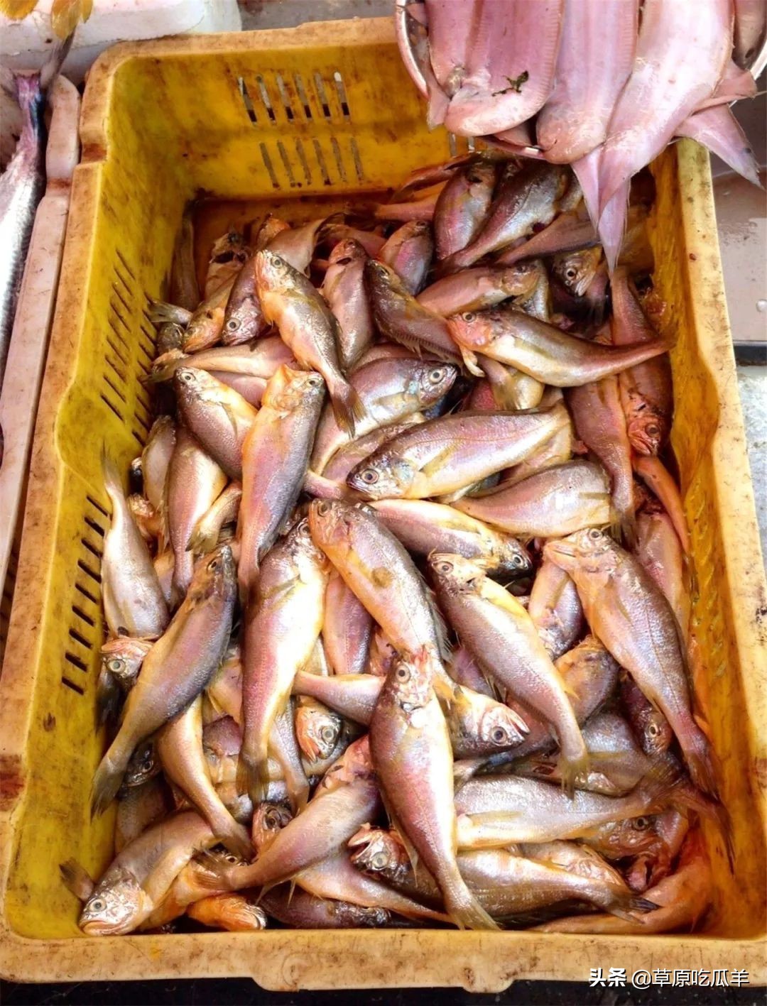 宁波地道的特点海鲜叫什么,宁波小海鲜都有哪些