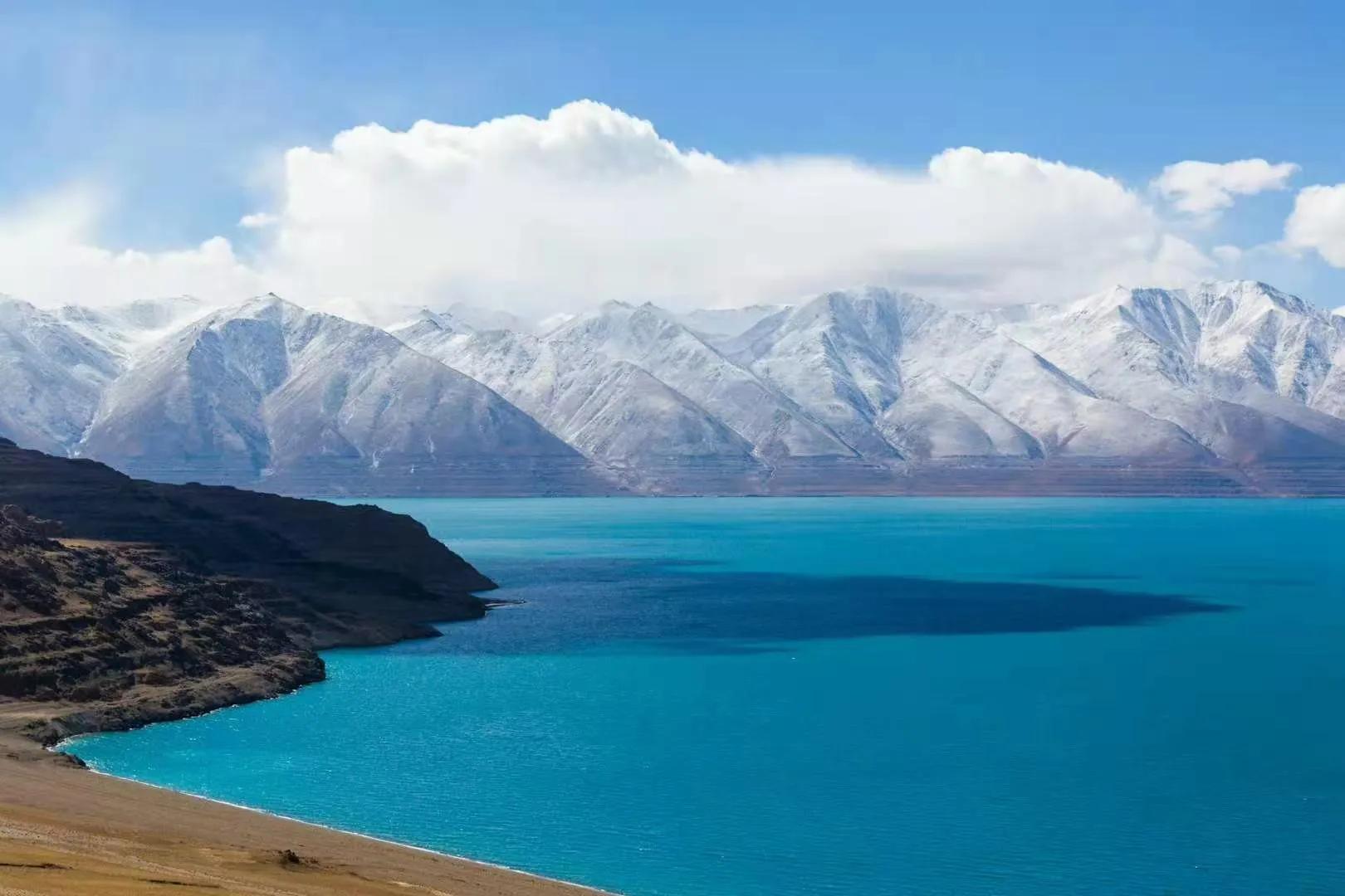 谜一般的绛香拔拉【香拔拉】