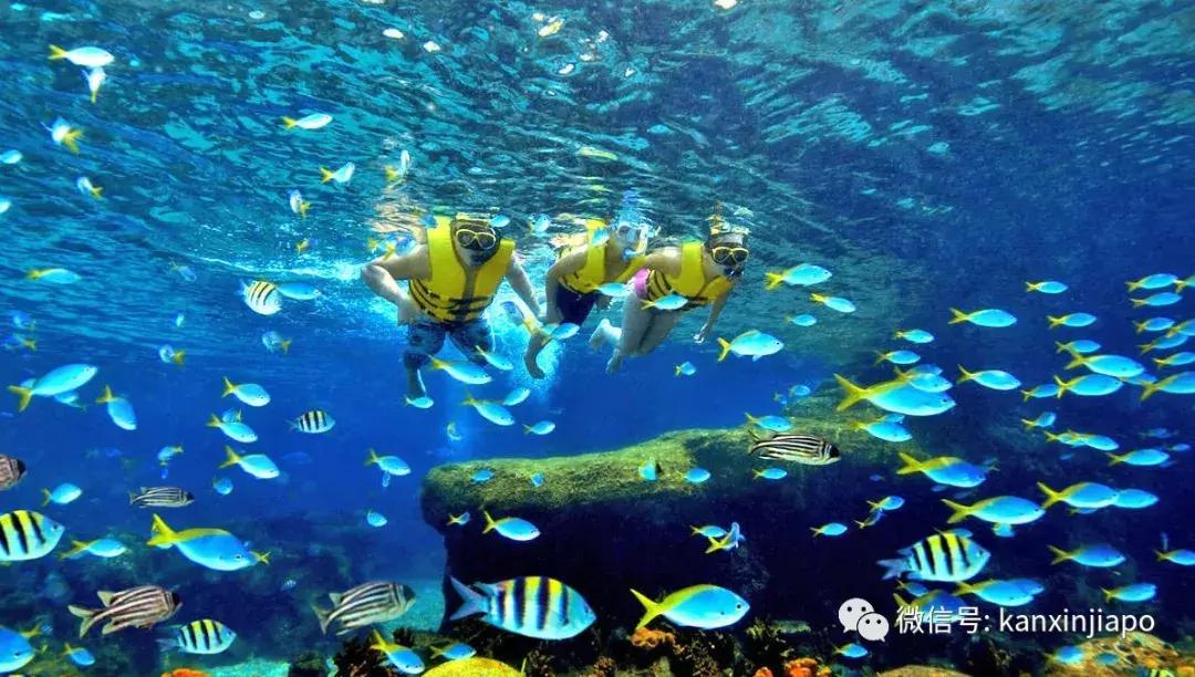 圣淘沙名胜世界完整版,圣淘沙旅游攻略地图大全