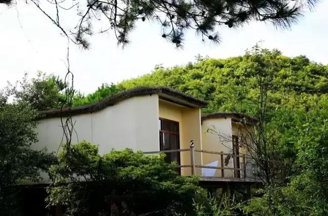 五一小众旅游推荐长沙周边,端午旅游推荐2-3天游长沙