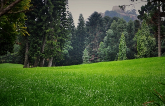 在厦门有啥好玩的地方推荐一日游,厦门一个玩了很多次的地方