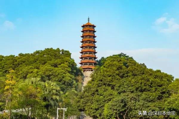 深圳免费的景点有哪些地方,深圳有哪些免费又好玩的地方景点