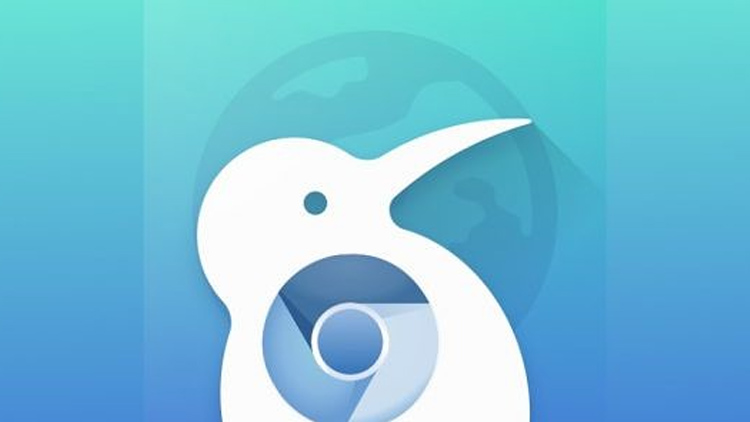 谷歌浏览器添加adblock,浏览器插件adblock没有了