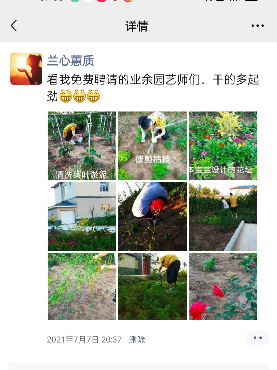 从田园博主走出国门到《向往的生活》，新农村生活究竟有多美？