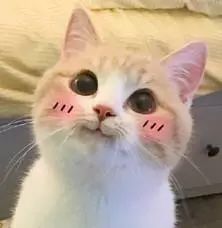 北京旅游最新超全攻略,北京旅游三天超全攻略