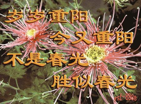 九九重阳节最美祝福送上,九月九重阳节祝福语简短