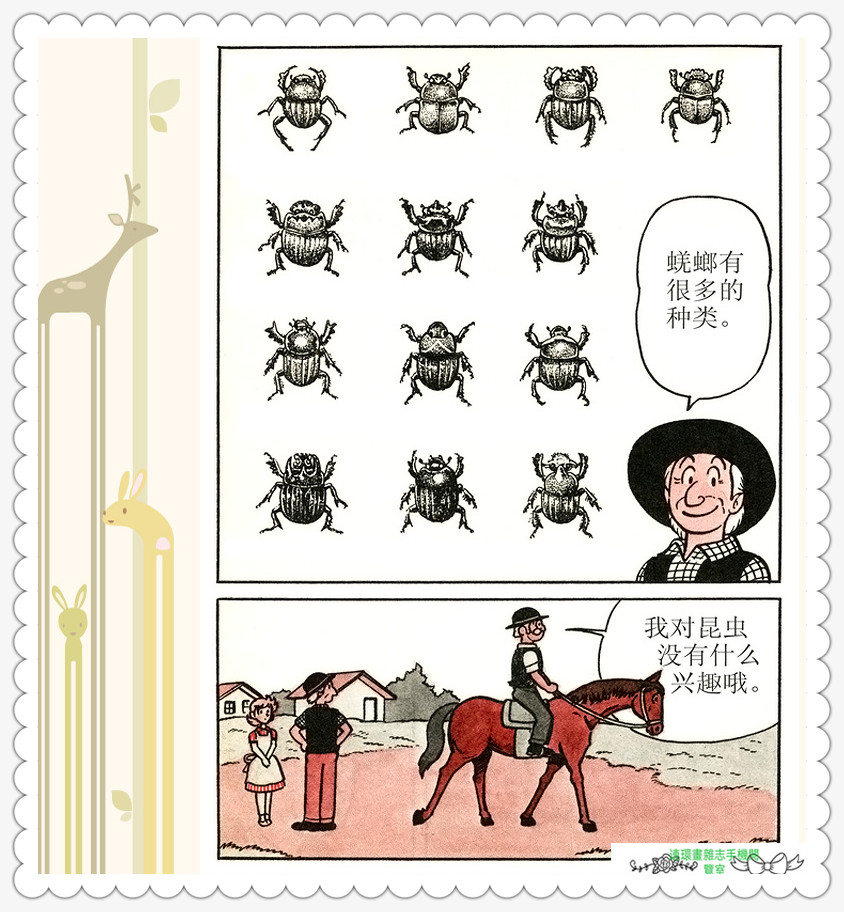 昆虫记法布尔动画片,昆虫记法布尔全套