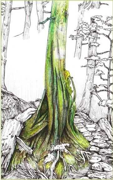 彩铅入门基础教程风景画,彩铅风景画教程简单入门