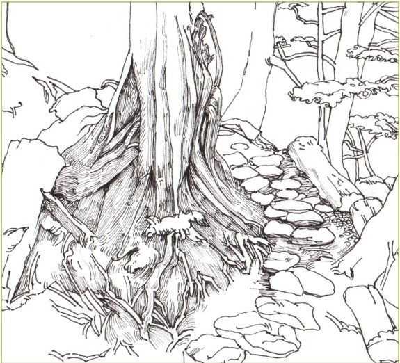 彩铅入门基础教程风景画,彩铅风景画教程简单入门