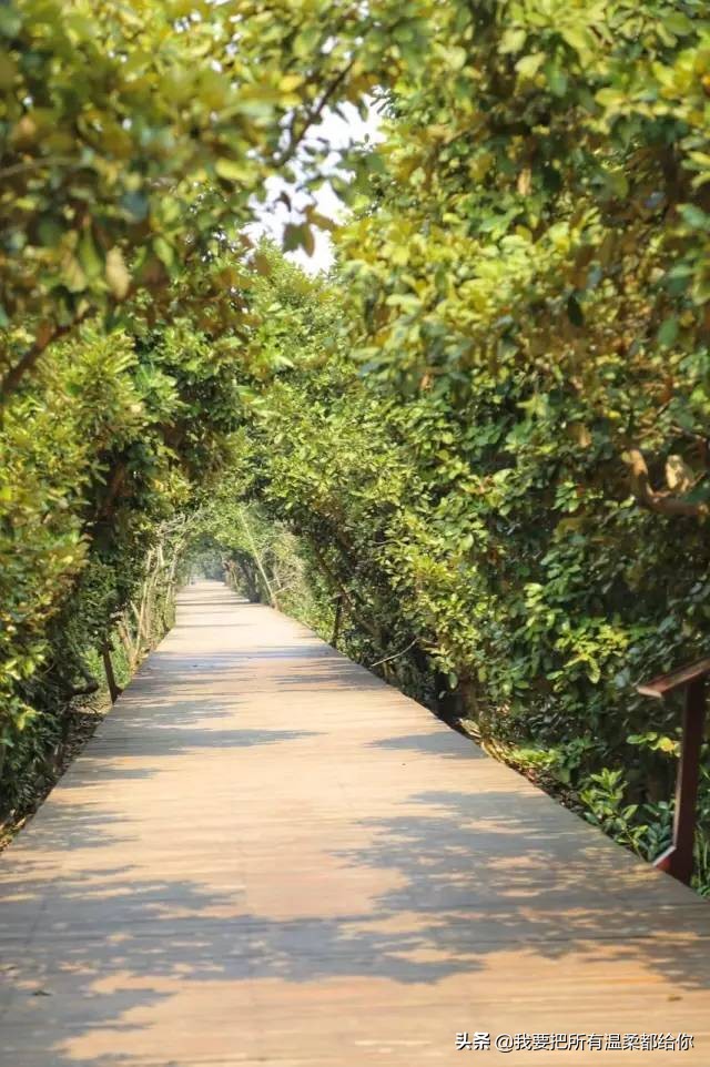 珠海5天旅游攻略大全最新,五一珠海周边最值得去玩的地方