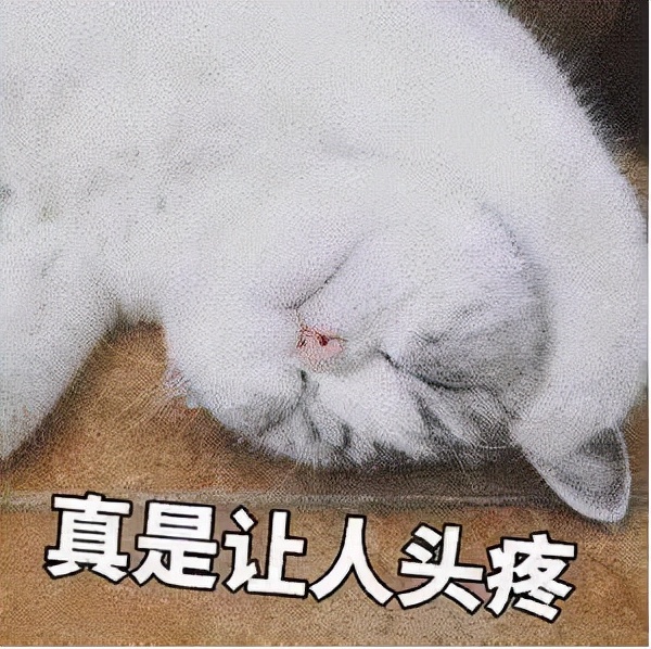 术后第三天补元气的最佳食物,术后喝汤补还是吃肉好