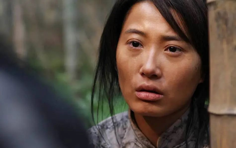 雪豹继亮剑后的经典抗战片,十部最惨烈的抗日剧雪豹