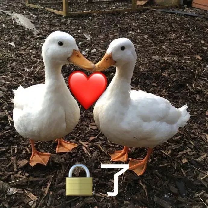 没你事了去玩吧表情包,表情包你去玩吧