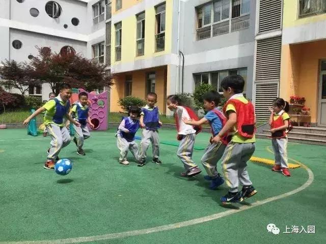 上海幼儿园运动特点,上海以运动为主的幼儿园