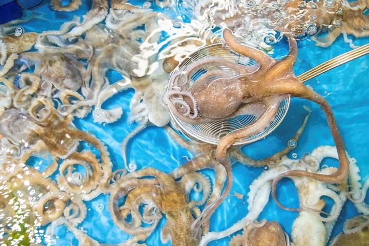 榆记港式打边炉火锅塞维兰蒂斯店,耿先生港式打边炉火锅团购套餐