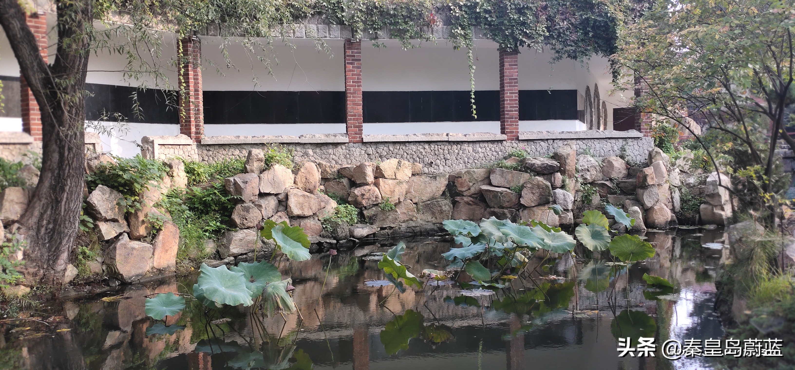 北戴河怪楼奇园来历,北戴河怪楼奇园视频