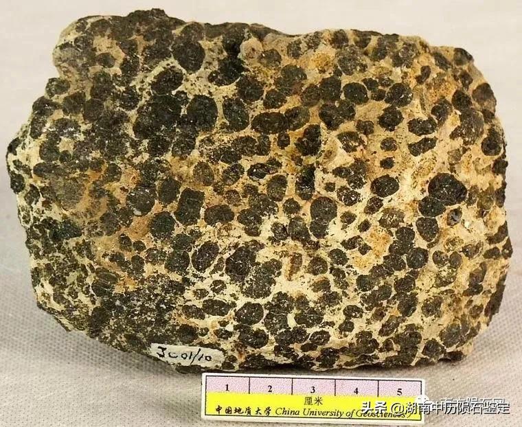 月球陨石与地球矿石的区别,月球陨石和矿石有什么区别