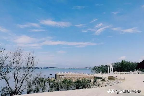 深圳白天游玩公园景点推荐,深圳红树林公园日落