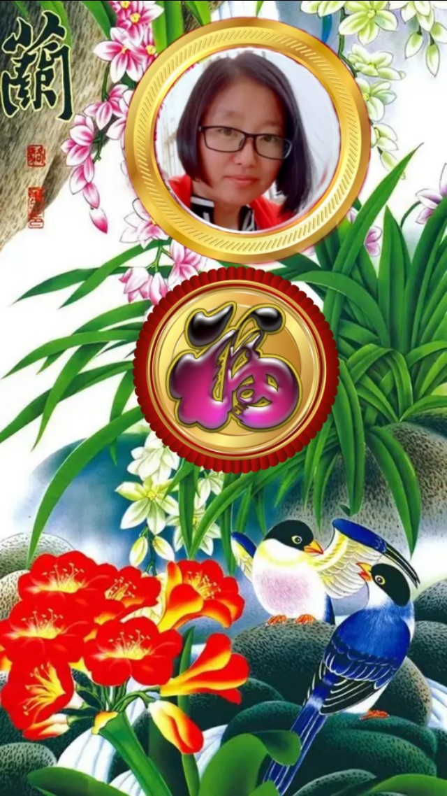 精美兰花壁纸图,兰花高贵壁纸