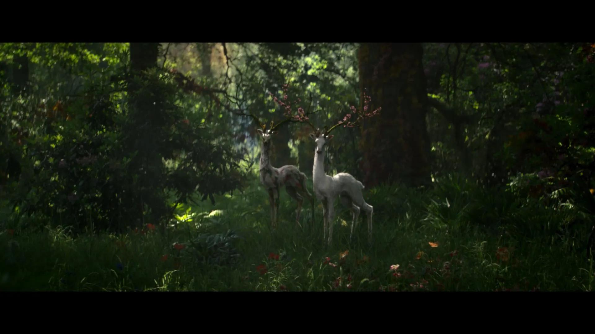 湮灭电影深度解析,湮灭电影到底湮灭了什么