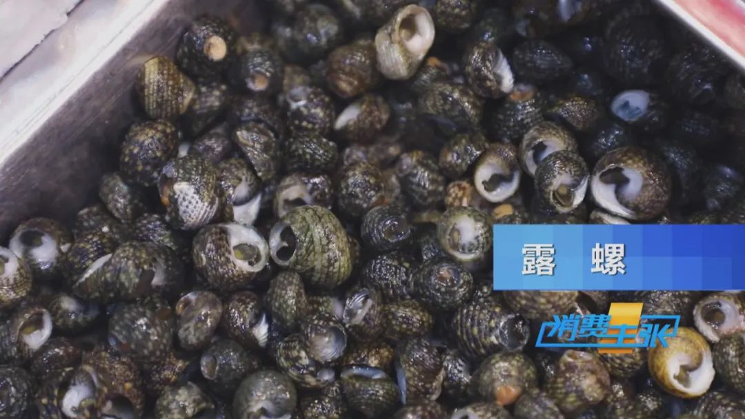 霞浦的海鲜真是便宜又好吃,霞浦真正便宜好吃的海鲜哪里吃