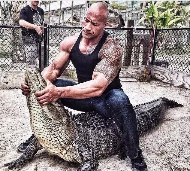 巨石强森母亲父亲多高,巨石强森父亲