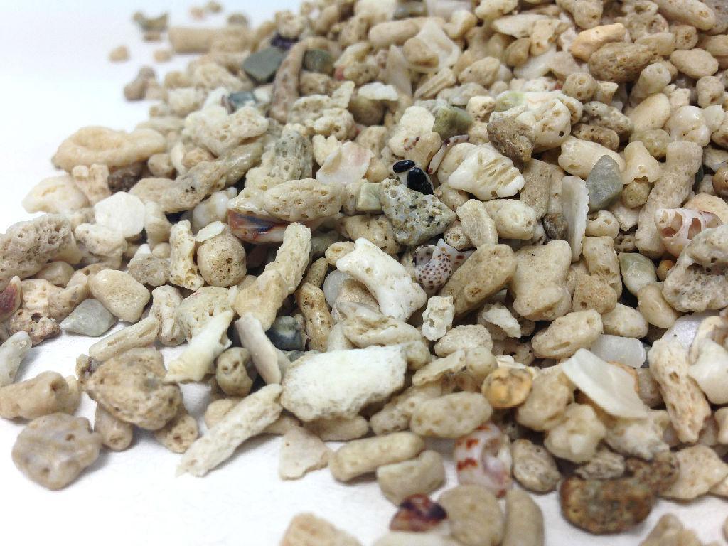 怎么知道鱼缸硝化细菌群建立了,鱼缸长绿藻是硝化细菌没建立好吗