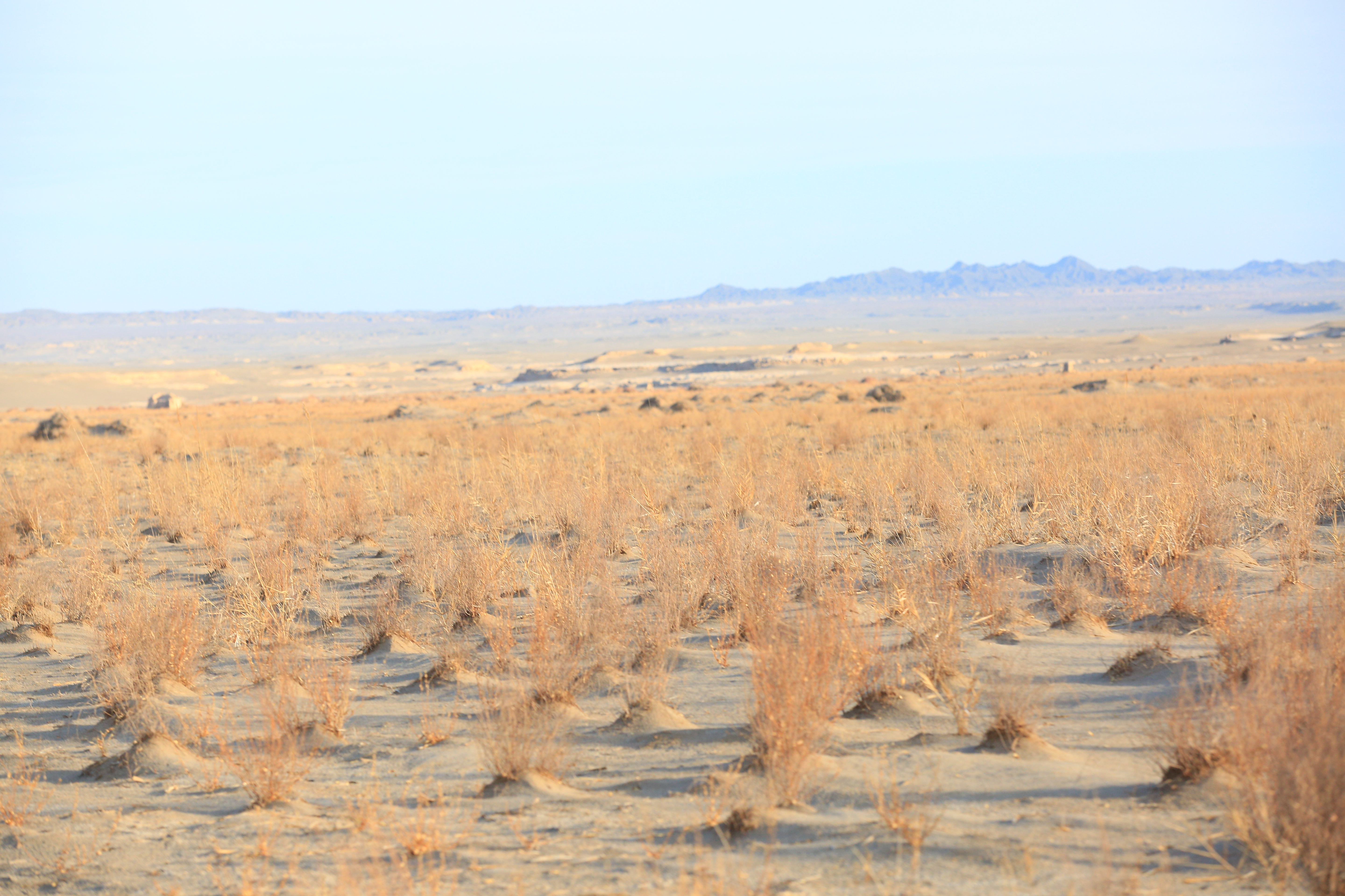 为什么罗布泊的水一夜之间干涸了,楼兰古城消失和罗布泊干涸的原因