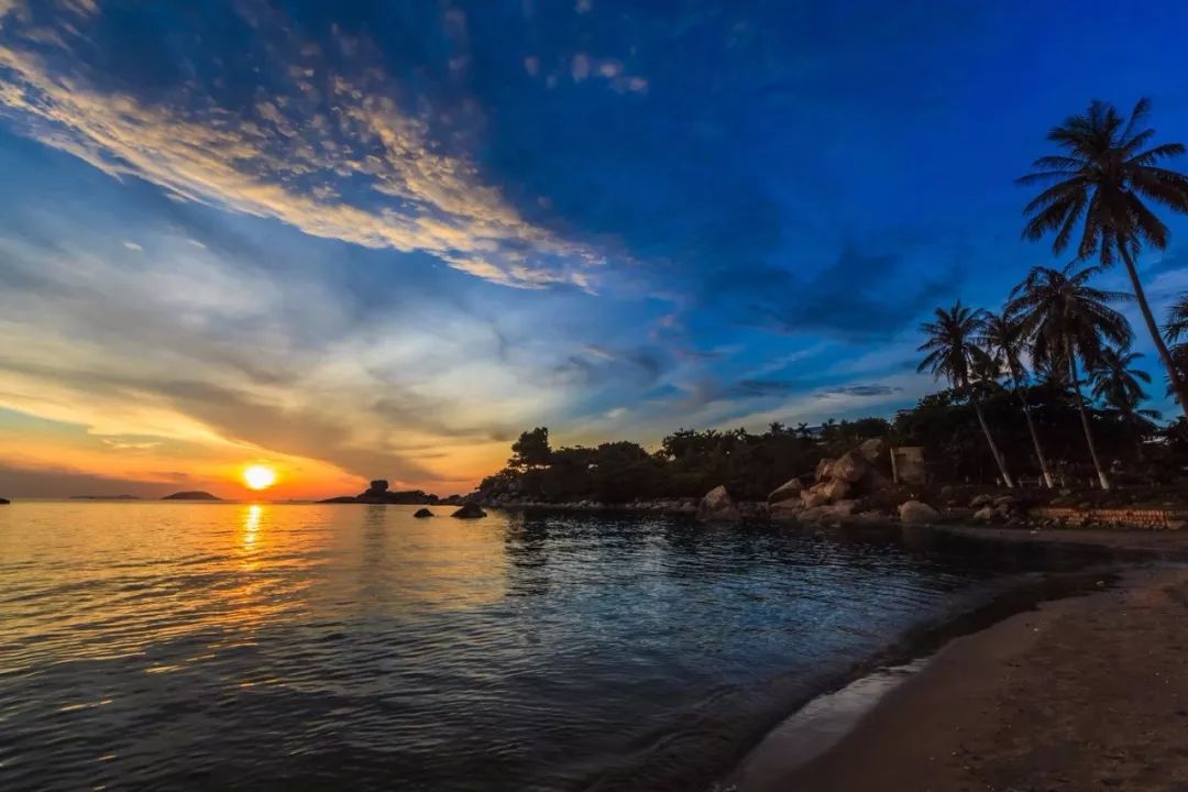 奇楠是否名贵,世界顶级奇楠值多少钱