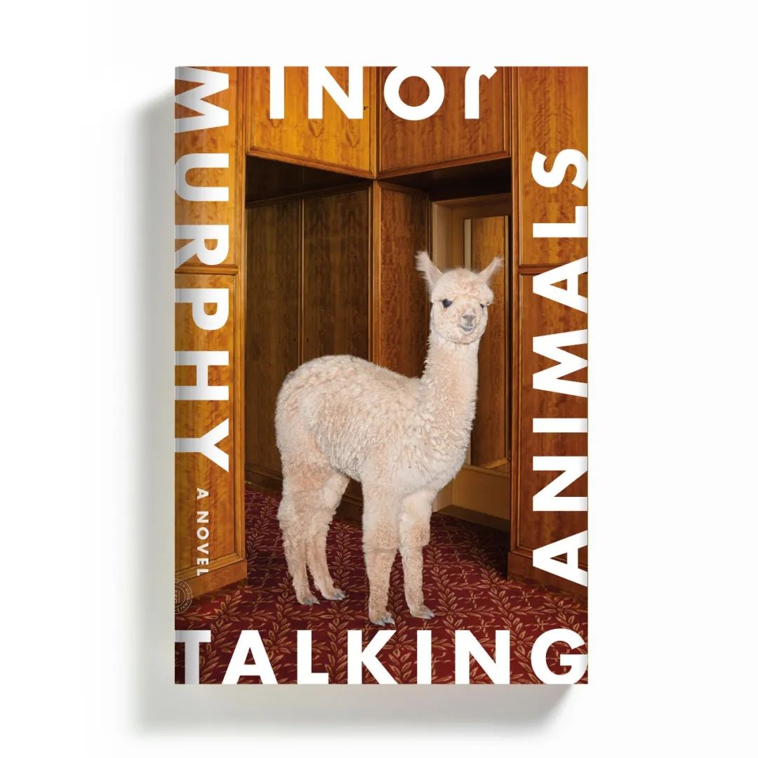 书籍封面绘画全部,好看的图书封面照片高清