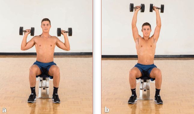 增肌一周各部位训练计划表,增肌训练计划每天练习不同部位