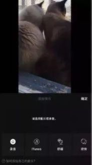 抖音做视频都用什么工具,拍抖音的必备拍摄工具哪种比较好