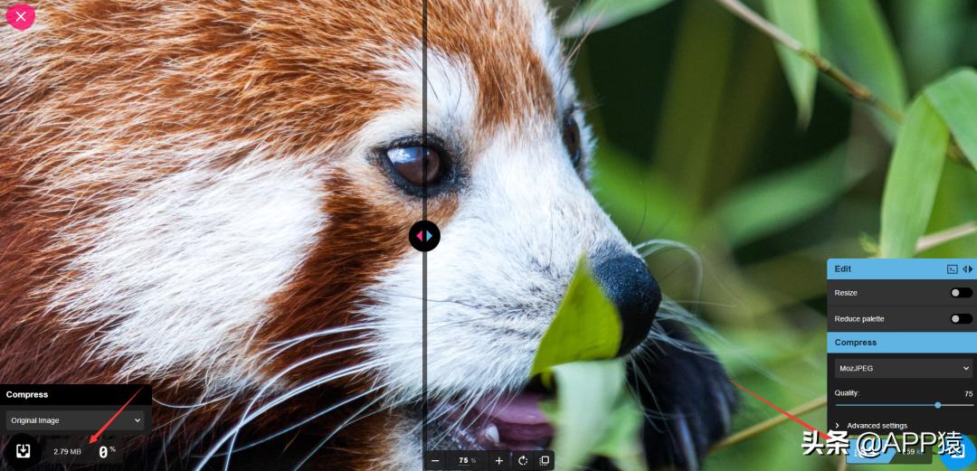 免费的kindle电子书最全网站,免费好用的导航网站