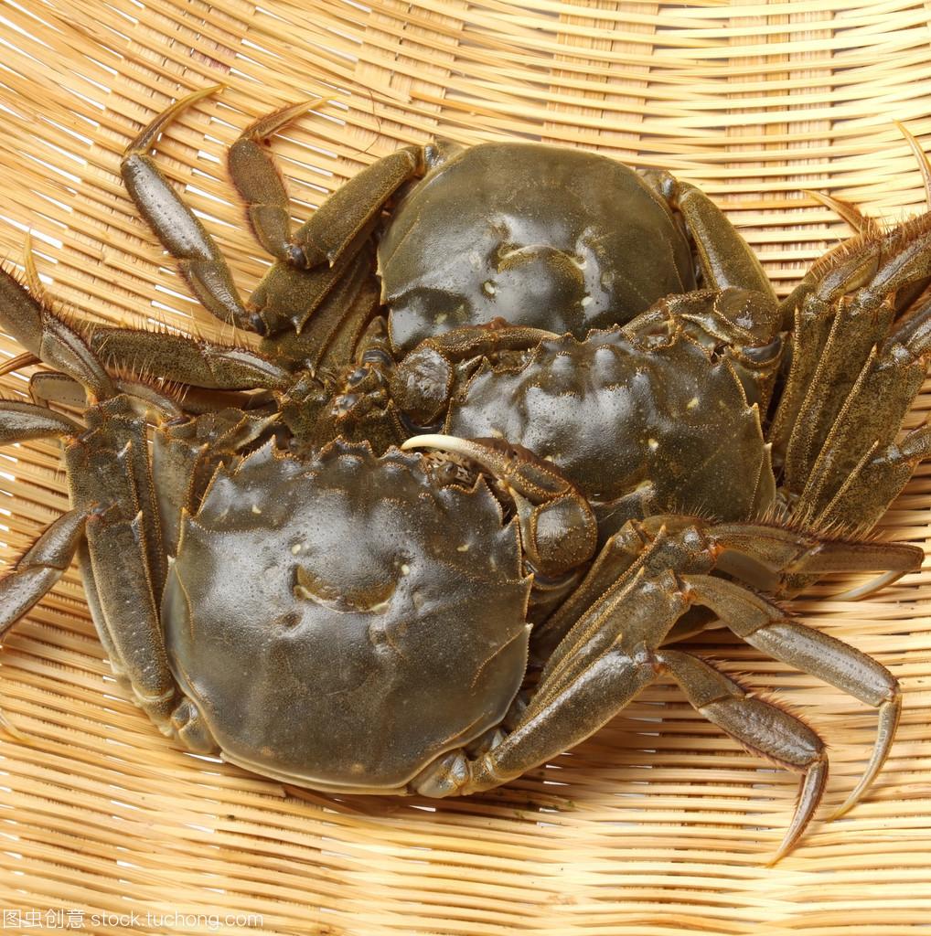 螃蟹怎么挑选黄满膏肥海蟹,怎么挑螃蟹才是肥的呢